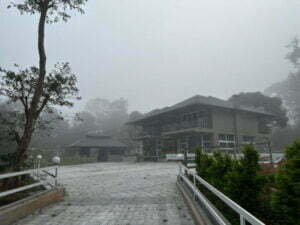 luxury pool villa in coorg coffe estate private pool villa