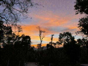 luxury pool villa in coorg