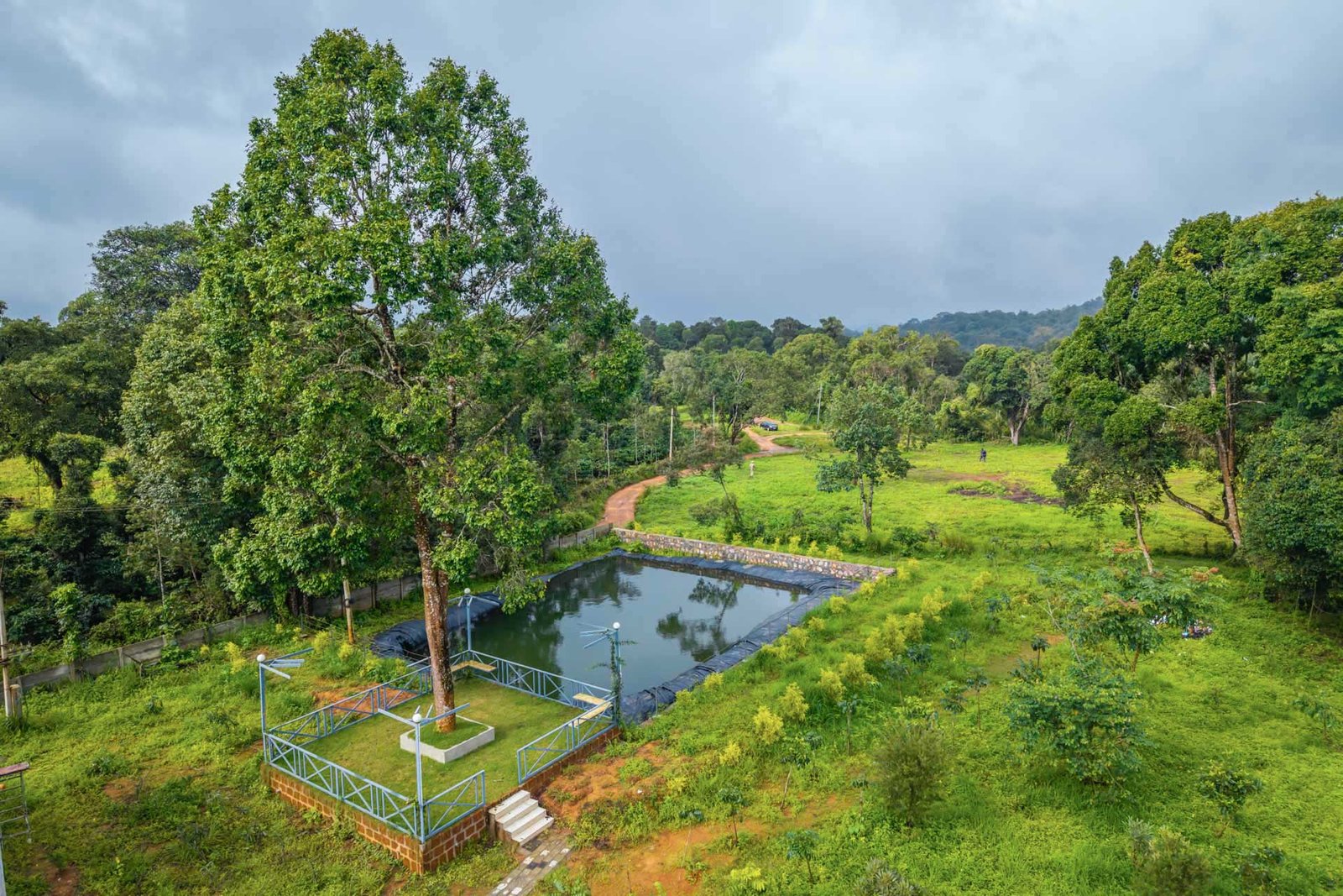 Pond & Picnic