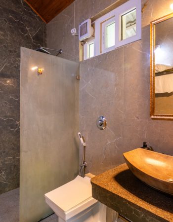 Nysa-Estate-5-bhk-luxury-villa-in-coorg-with-private-pool-and-spacious-rooms-bathroom-view