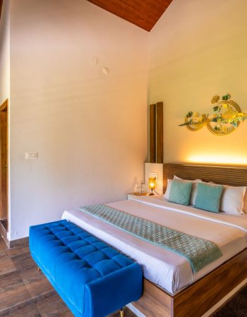 Nysa-Estate-5-bhk-luxury-villa-in-coorg-with-private-pool-and-spacious-rooms-bedroom-view
