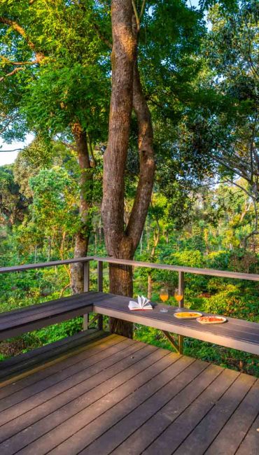 Nysa-Estate-5-bhk-luxury-villa-in-coorg-with-private-pool-and-spacious-rooms-skydeck