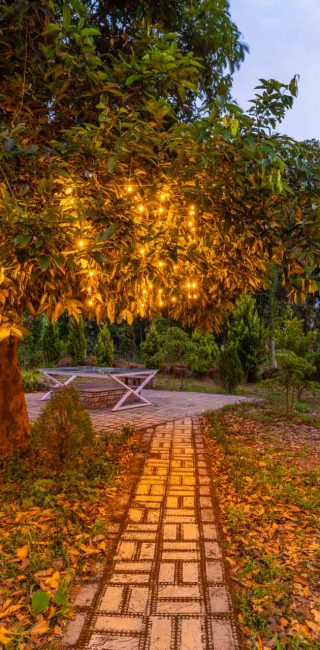 Nysa-Estate-5-bhk-luxury-villa-in-coorg-with-private-pool-and-spacious-rooms-tree-lightings