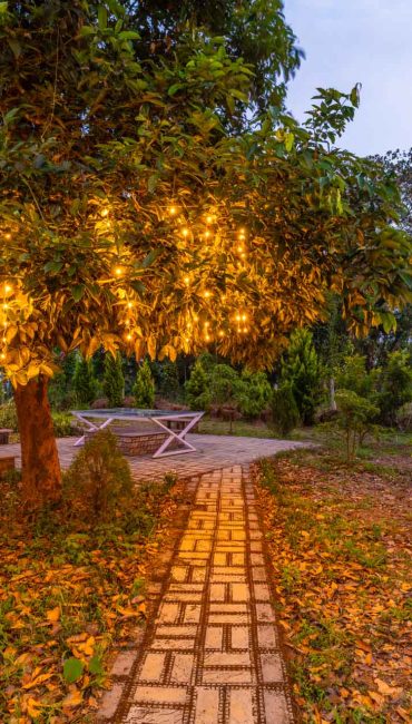 Nysa-Estate-5-bhk-luxury-villa-in-coorg-with-private-pool-and-spacious-rooms-tree-lightings