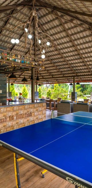 Nysa-Estate-Coorg-5-bhk-villa-in-coorg-with-private-pool-and-spacious-rooms-Martini-Bikini-Bar