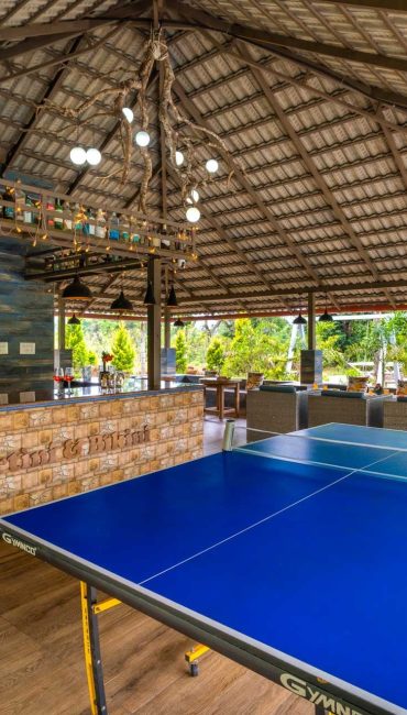 Nysa-Estate-Coorg-5-bhk-villa-in-coorg-with-private-pool-and-spacious-rooms-Martini-Bikini-Bar