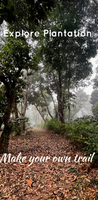 Luxury private coffee estate villa coorg